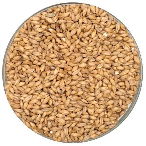 howdybrewer11999921