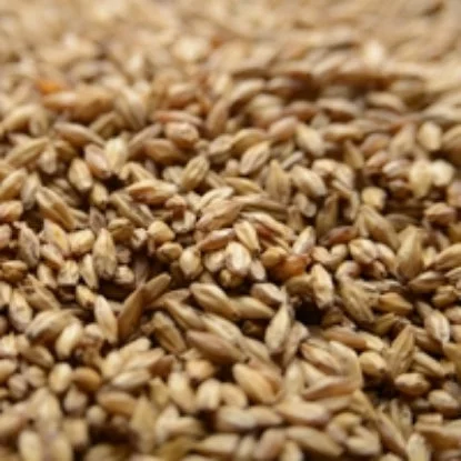 howdybrewer12022838