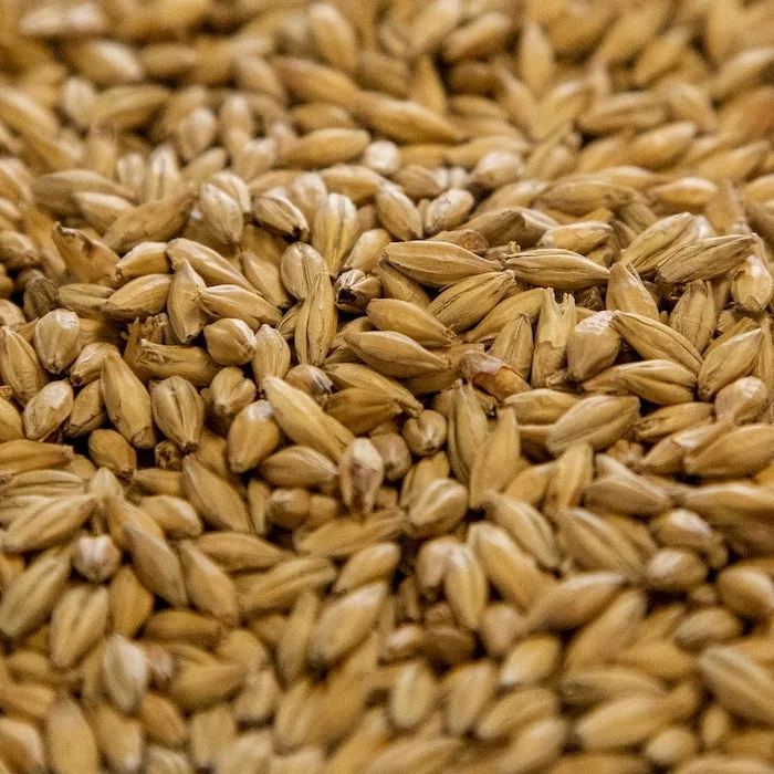 howdybrewer12026071