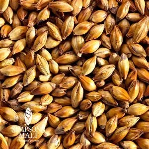howdybrewer12027217