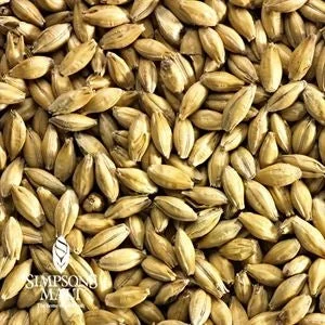 howdybrewer12027260
