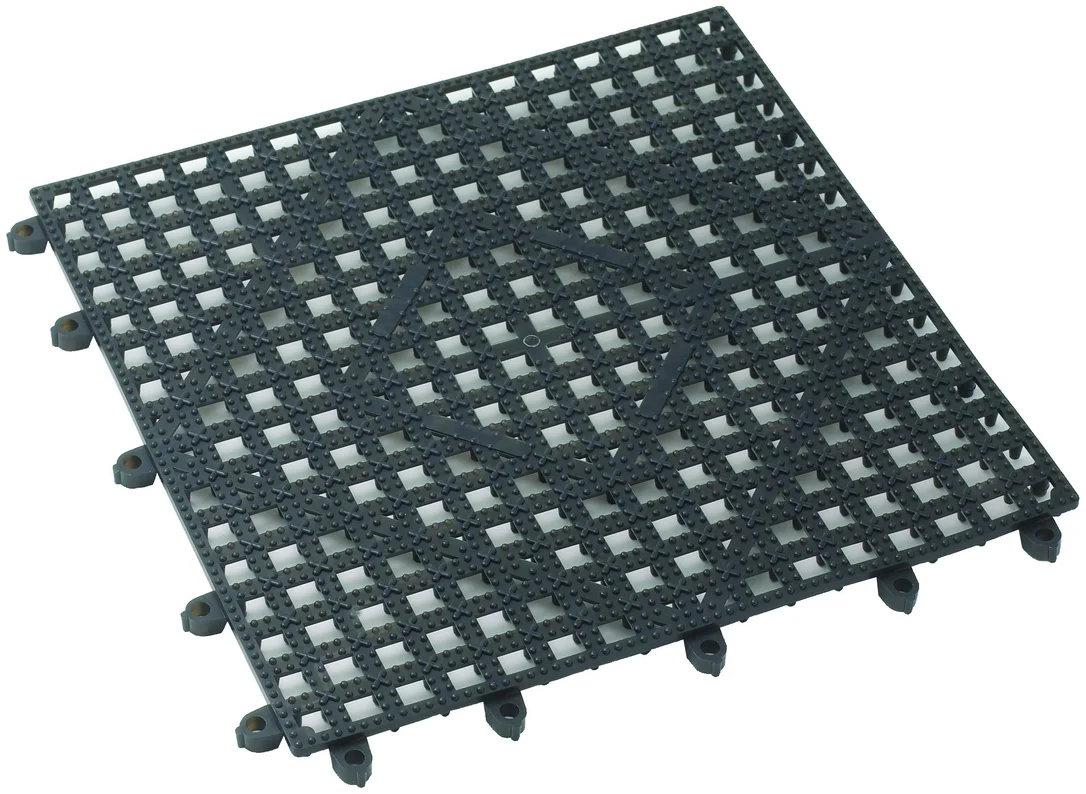 lionsdeal1-2041671