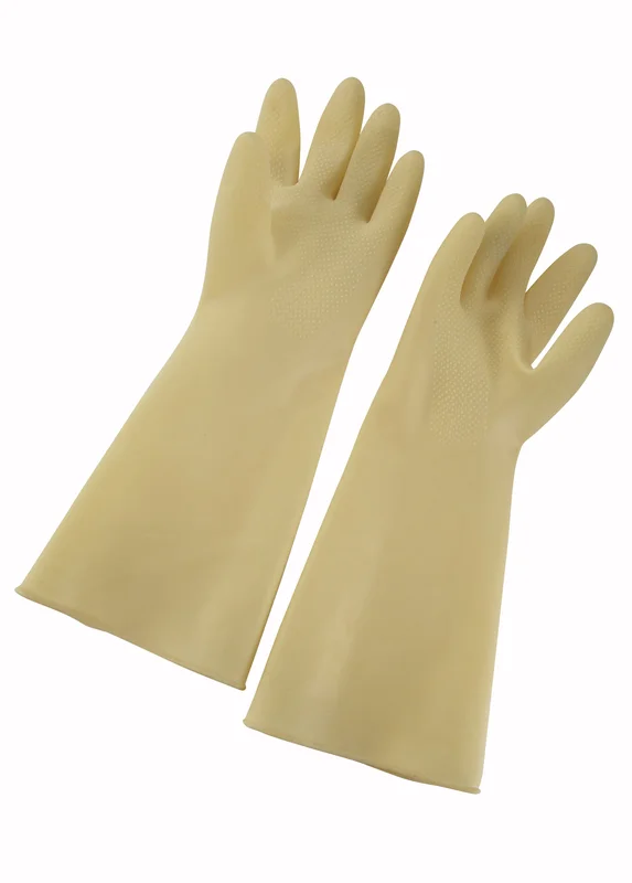 lionsdeal1-2049358