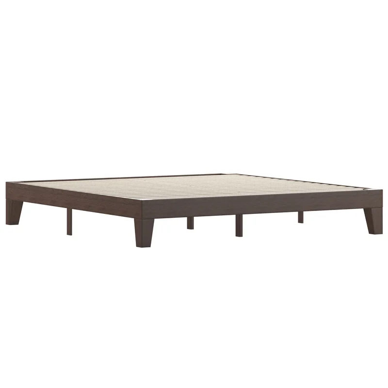 lionsdeal2-2114763