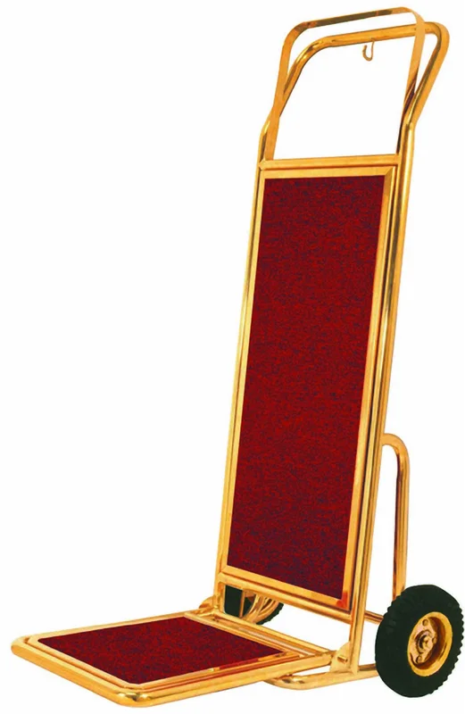 lionsdeal2-2120523